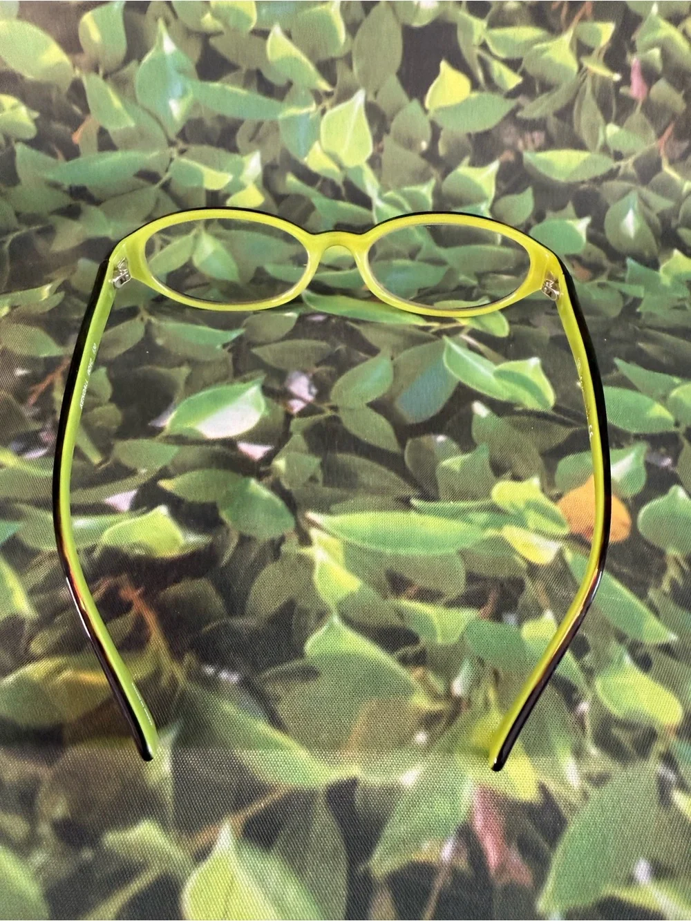 kate spade Brown Front with Lime Green Rim Cat-Eye Glasses